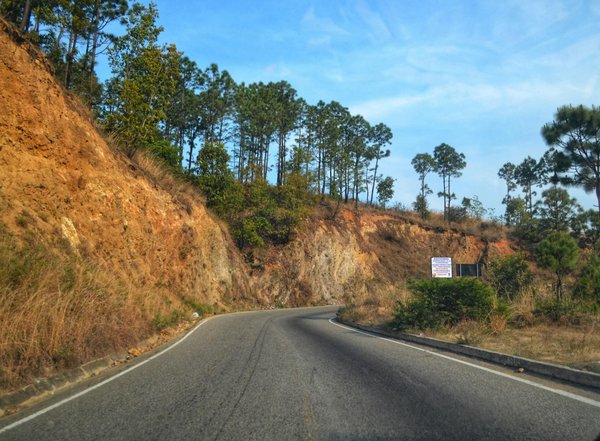 Moteur de trottinette électrique : choisir la performance adaptée à ses besoins urbains